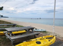 Uploaded Image